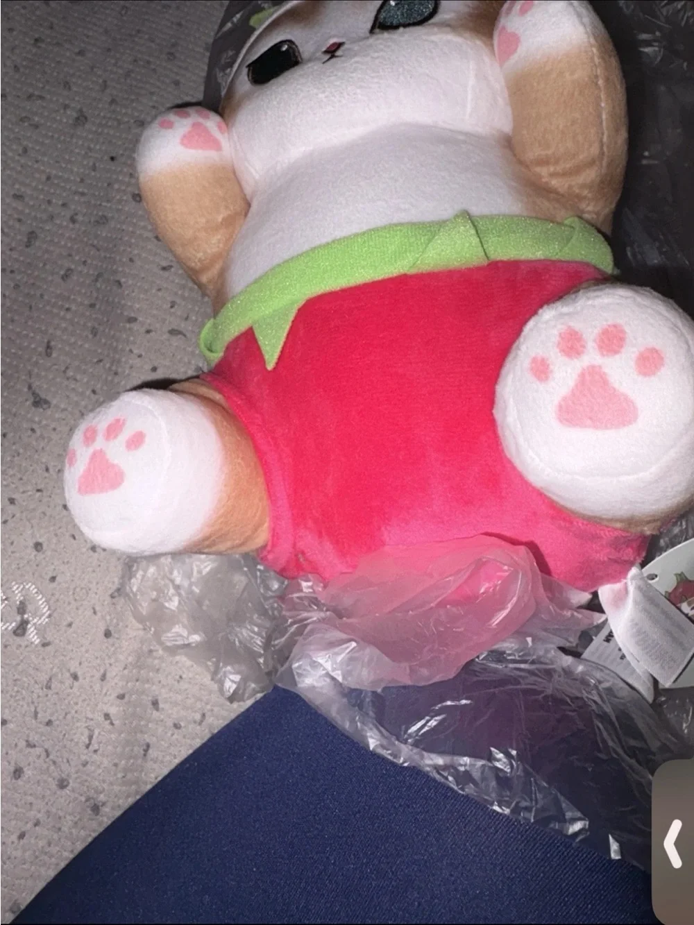 New Mofusand nyan fruits 12 inch‎ plush